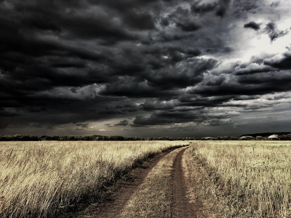 Фотография автора Артемий Николаевич