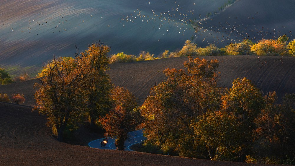 Photograph by Marek Biegalski