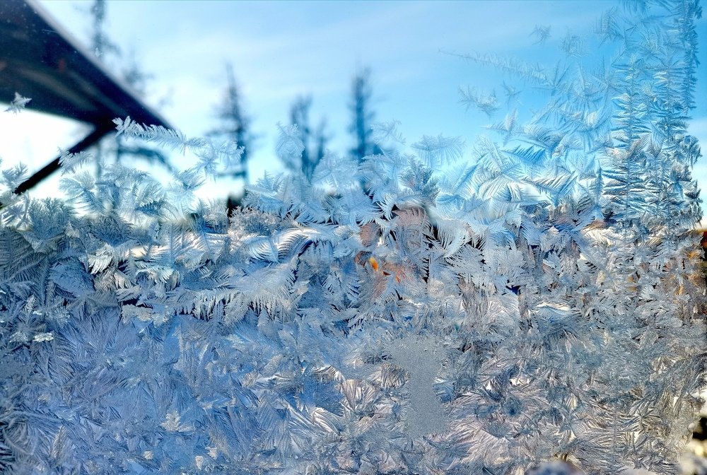 Photograph by Светлана