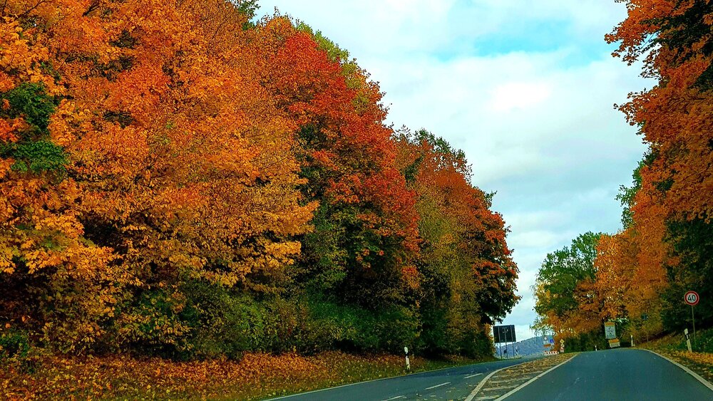 Autumn colors