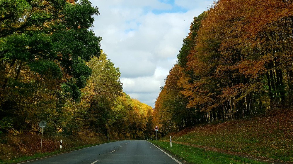Autumn colors