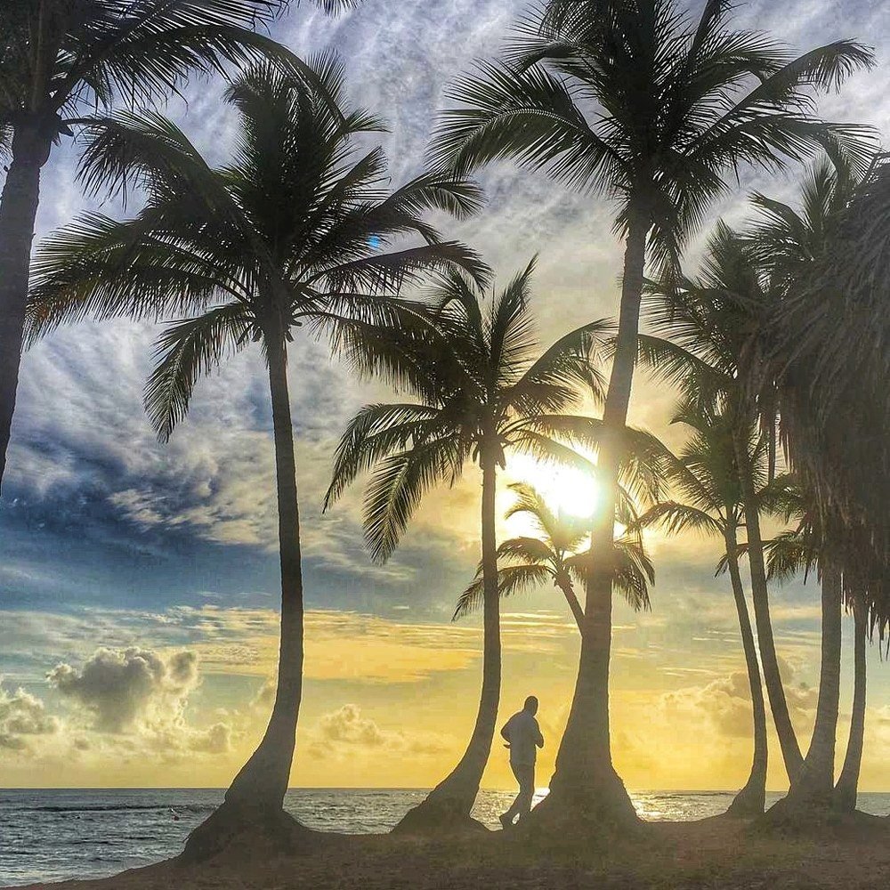 Morning in the dominican paradise