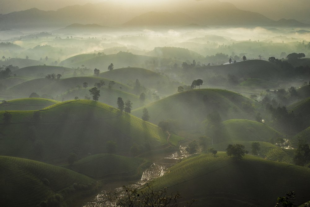 Photograph by Sky Hunter Duy Quang