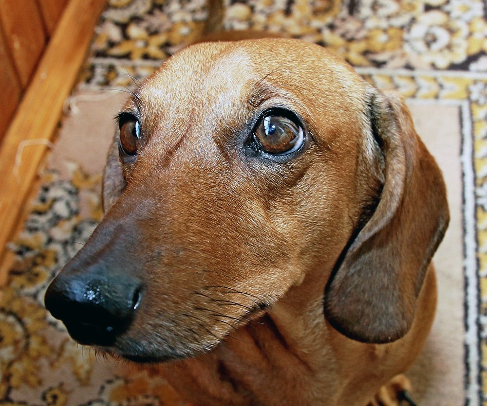 Photograph by Александр Бугаенко