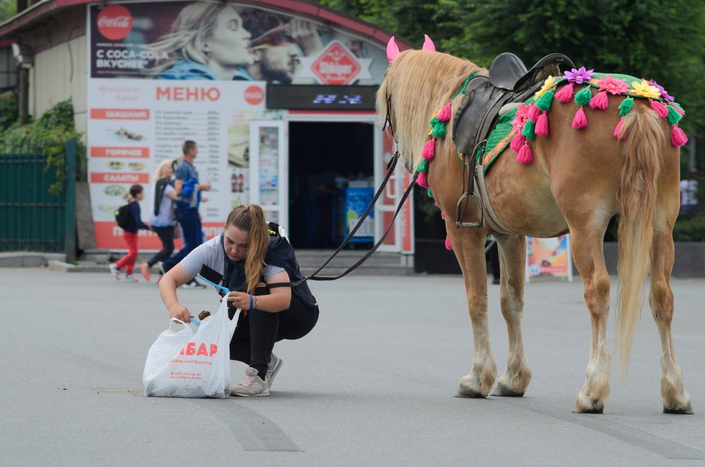Яркие будни