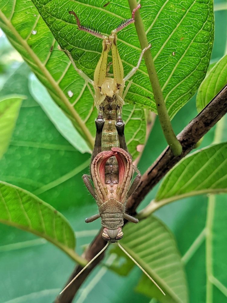 Photograph by Shipon Mostafa