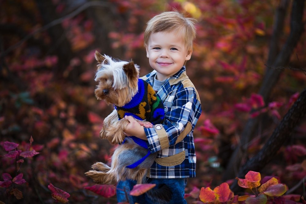 Photograph by Антон Стриж