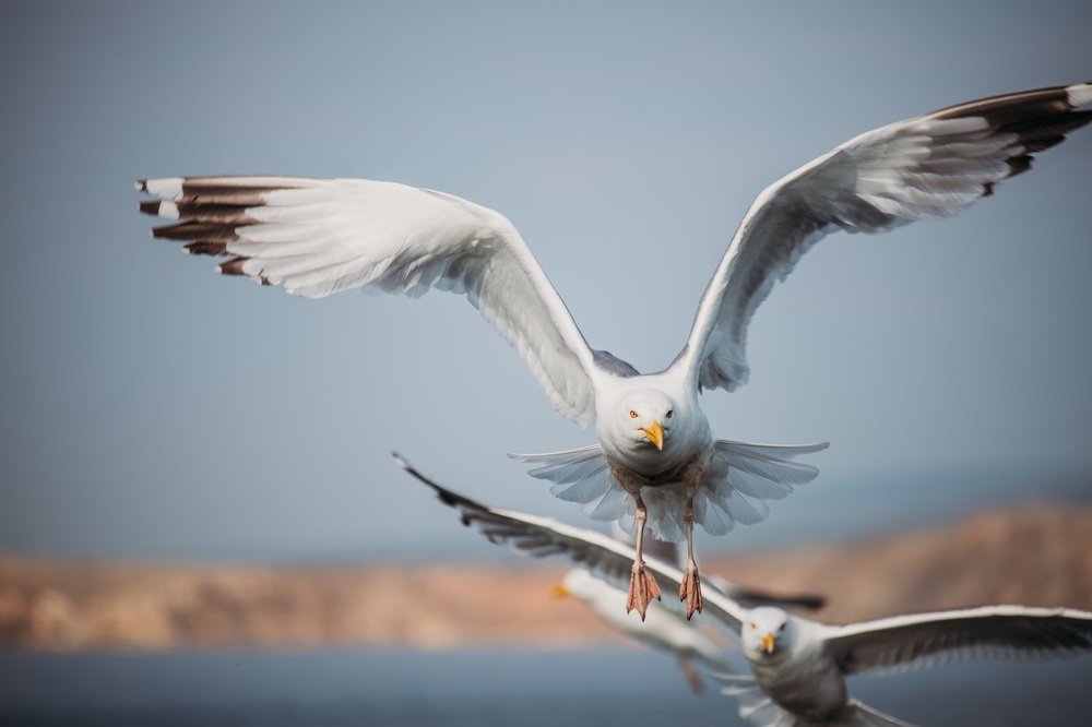 Photograph by Анна Белка