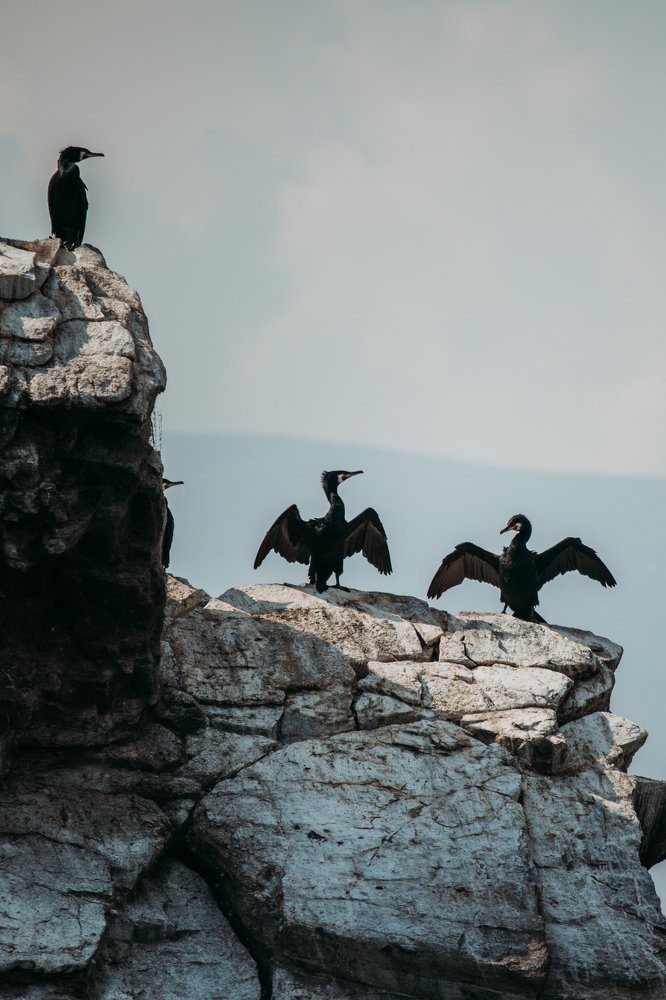 Photograph by Анна Белка