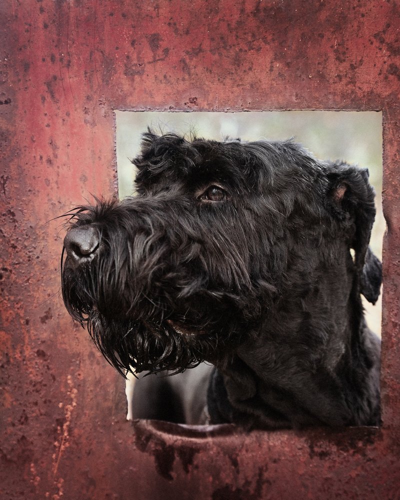 Photograph by Юлия Прозорова