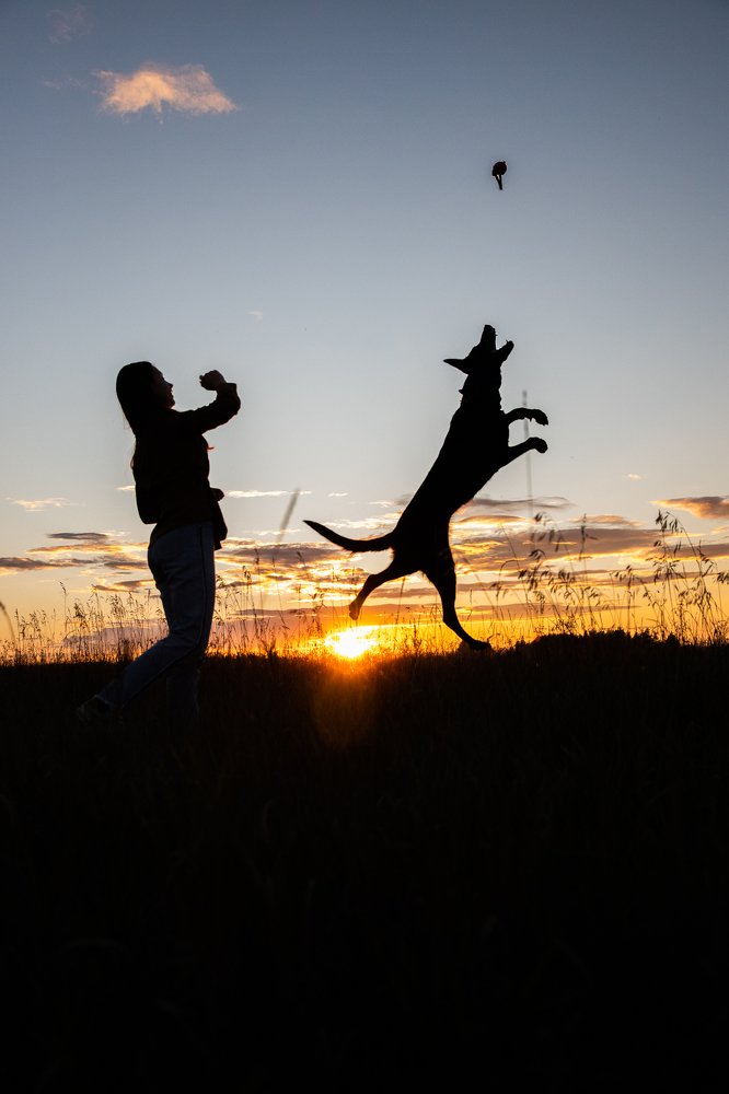 Photograph by Юлия Прозорова