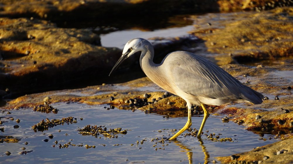 Photograph by Снежана Фирсова