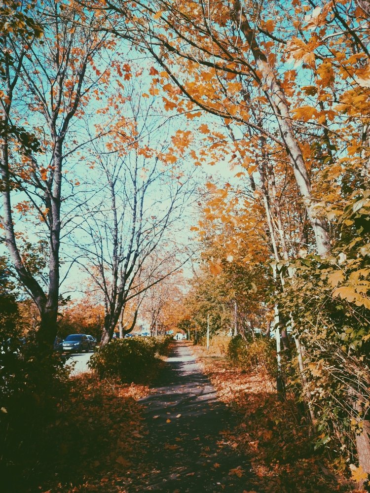 Photograph by Татьяна Чернышова