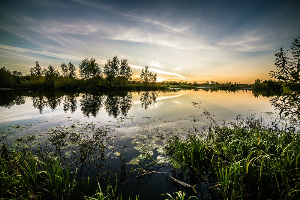 Photograph by Дмитрий Пасынков