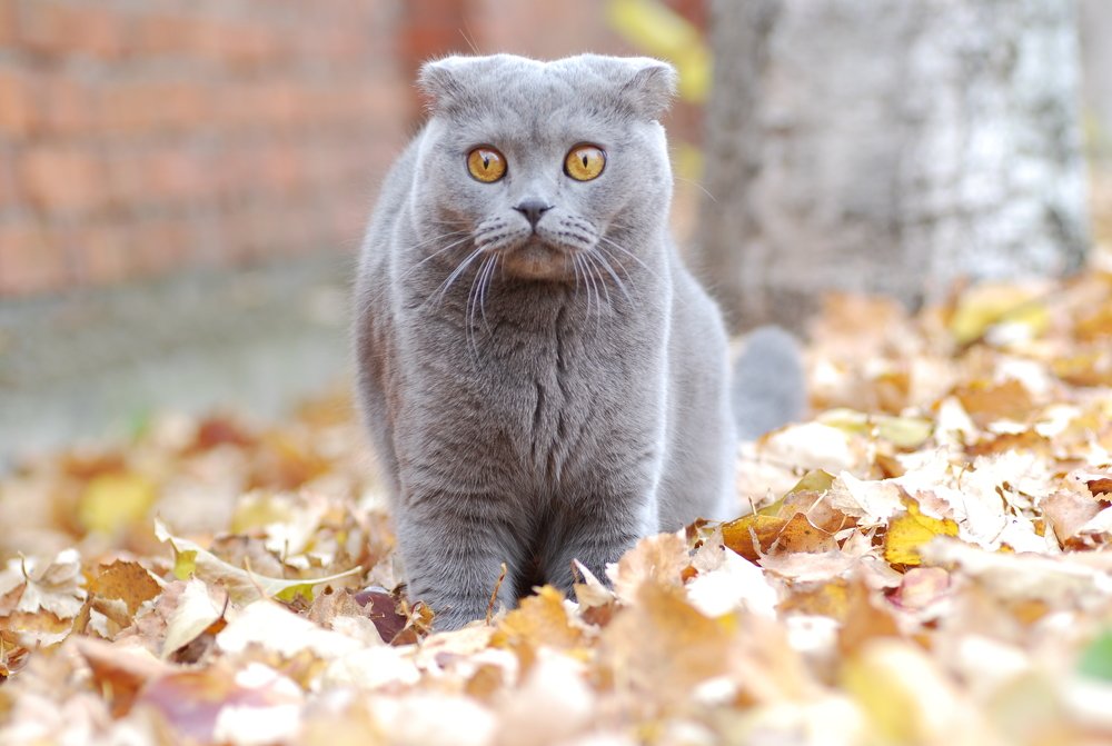 Photograph by Оксана Трофименко