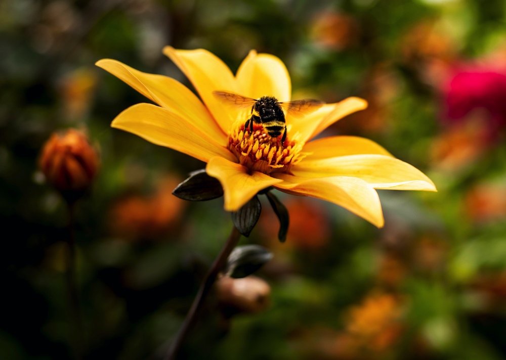 Photograph by Yana Viesulas