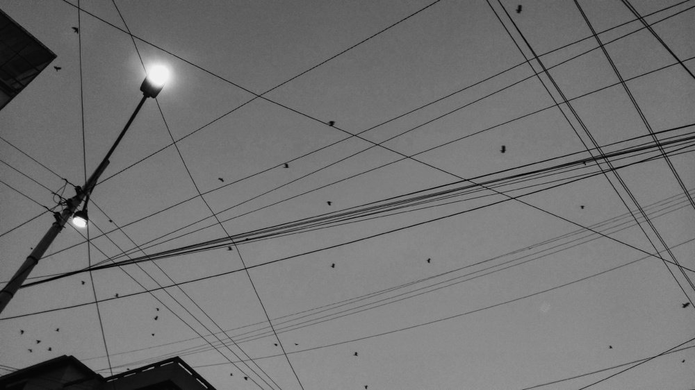 Photograph by Rakibul Hasan Reza Mohammed