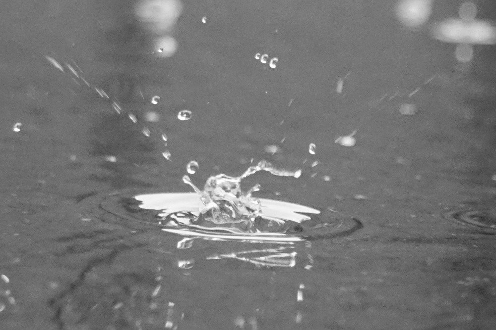 Photograph by Оксана Трофименко