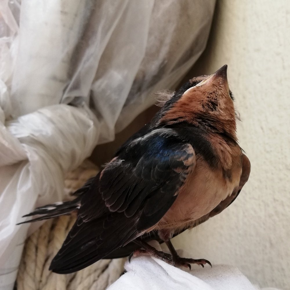 Photograph by Andrea Alcalá