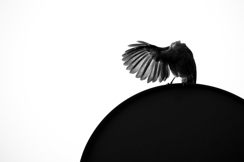 Фотография автора Shivam Sharma