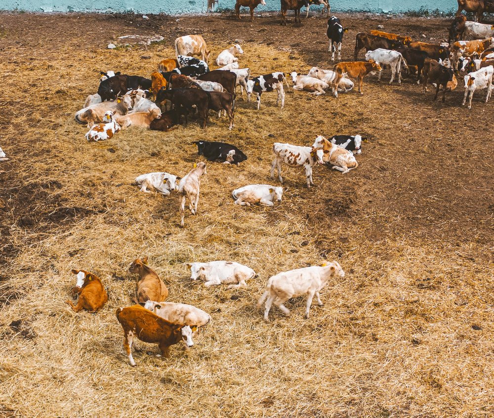 Photograph by Паша Савельев