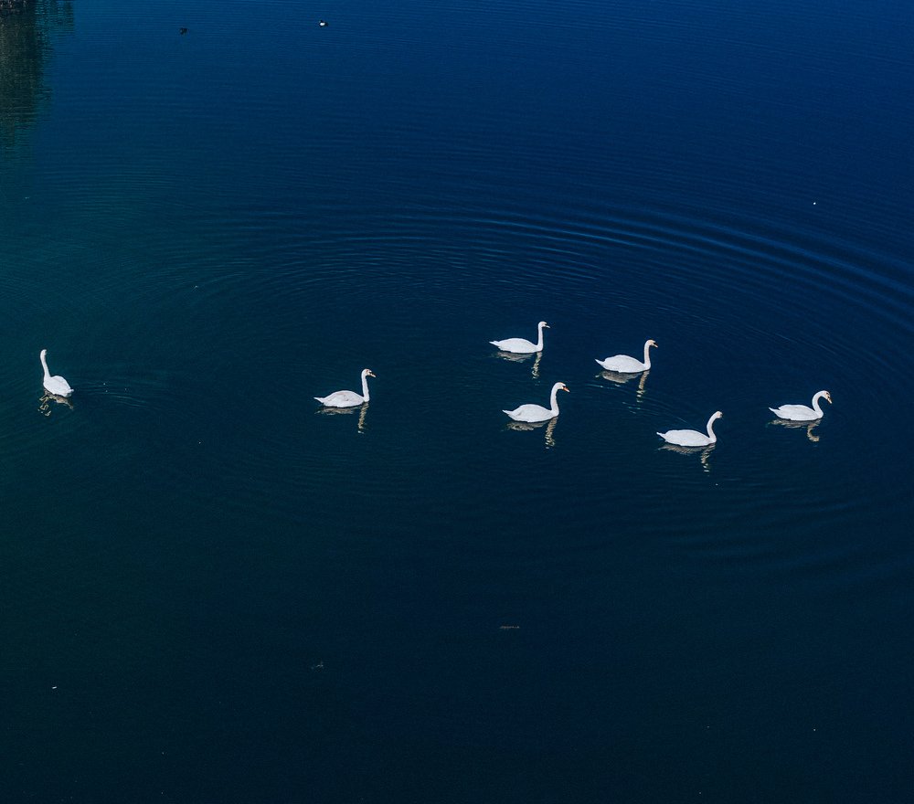 Photograph by Паша Савельев