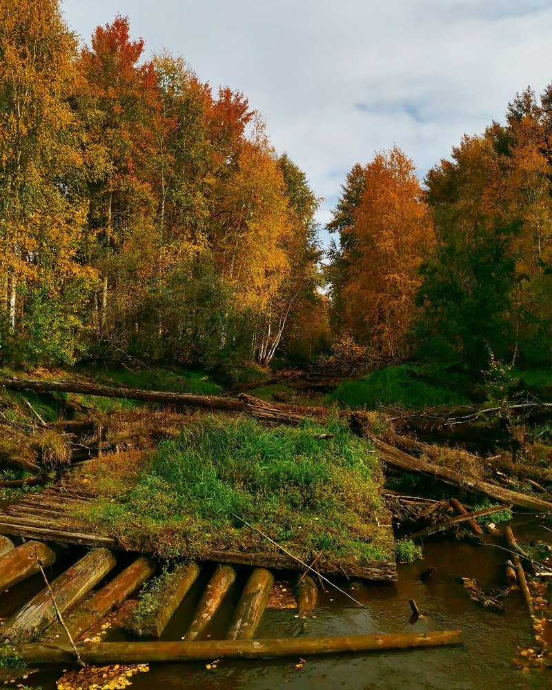 Photograph by Надежда Сабирова