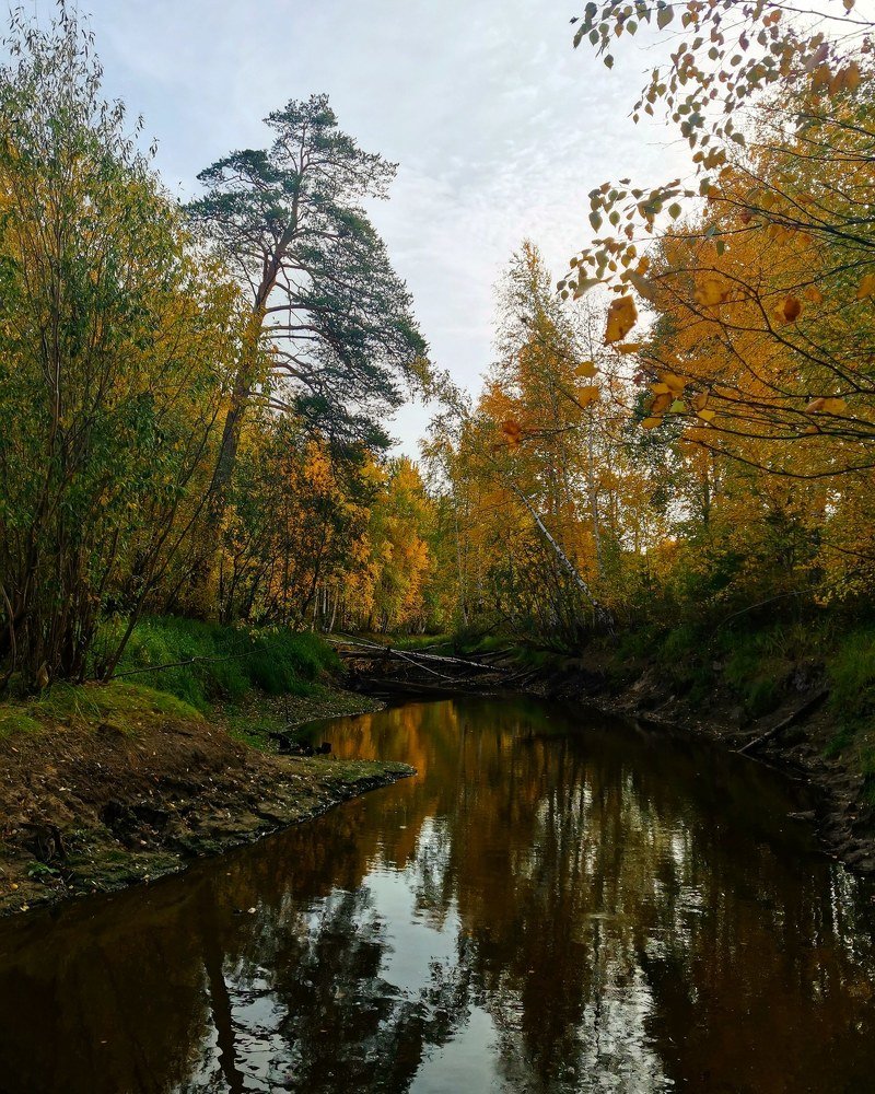 Photograph by Надежда Сабирова