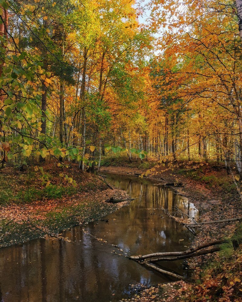 Photograph by Надежда Сабирова