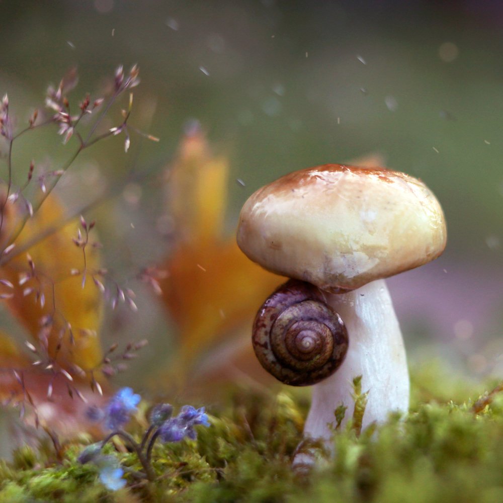 Photograph by Алина Евсеева