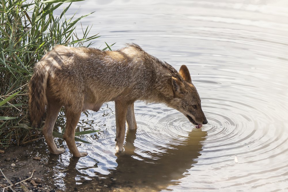Photograph by Валентина Лопаткина