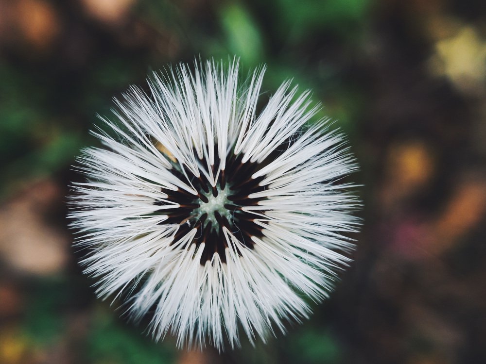 Photograph by Tatyana Belova