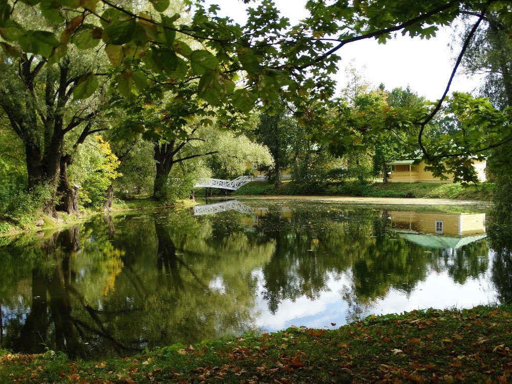 Photograph by Елена Стрельцова