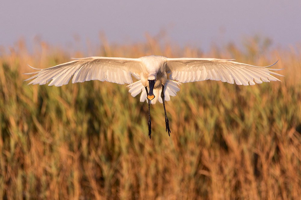 Photograph by Андрей Клыпин