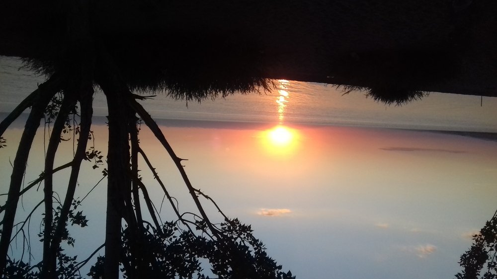 Photo #5135116