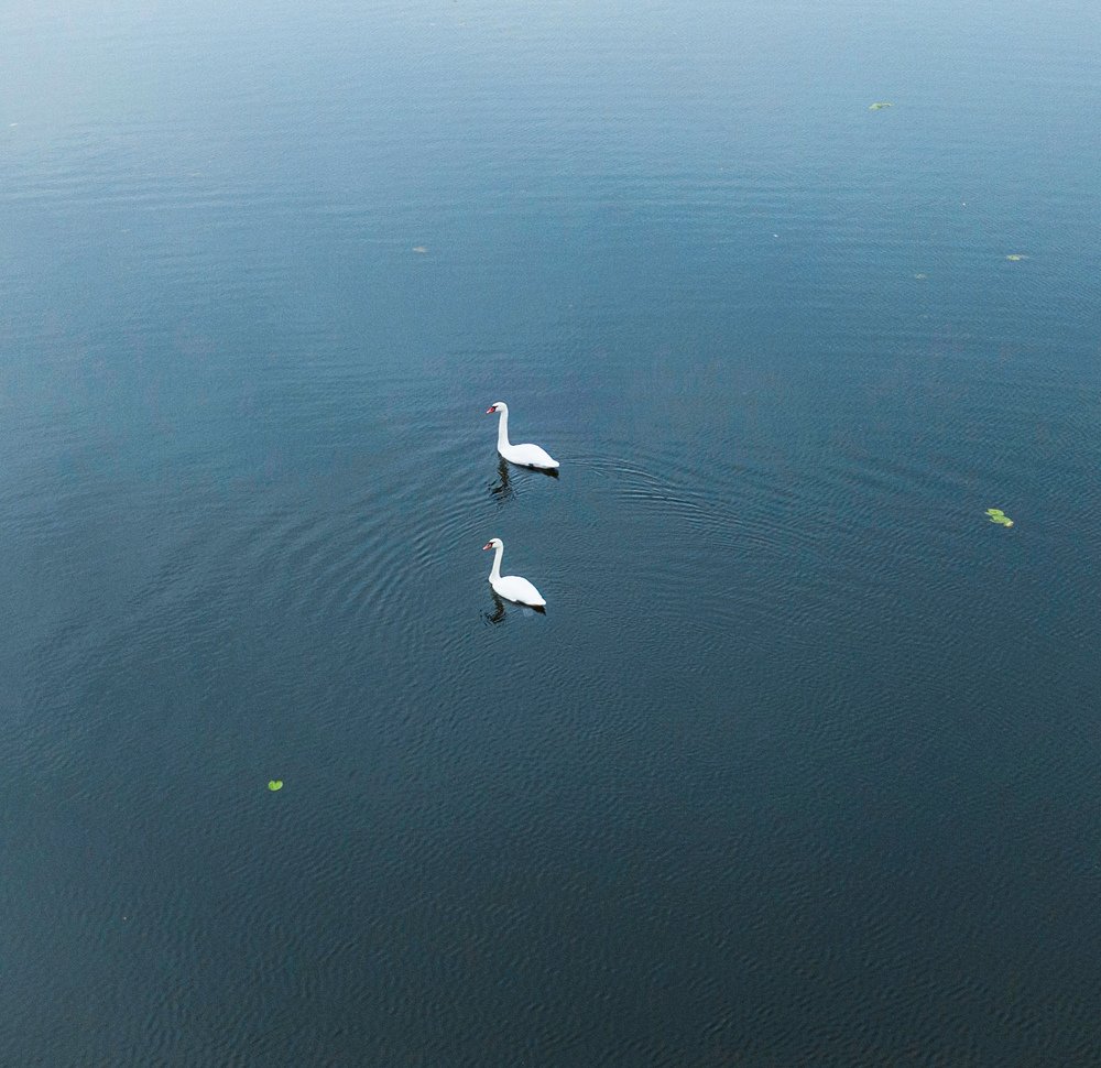 Photograph by Паша Савельев