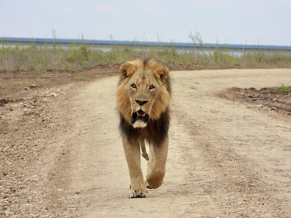 Photograph by Areef Photography