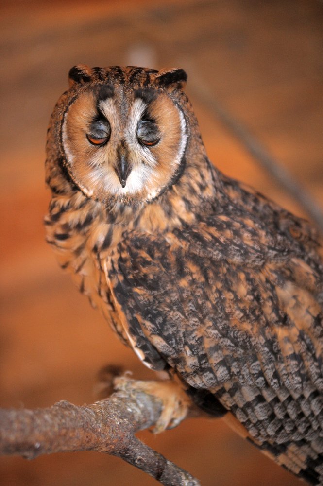 Photograph by Анна Кривицкая