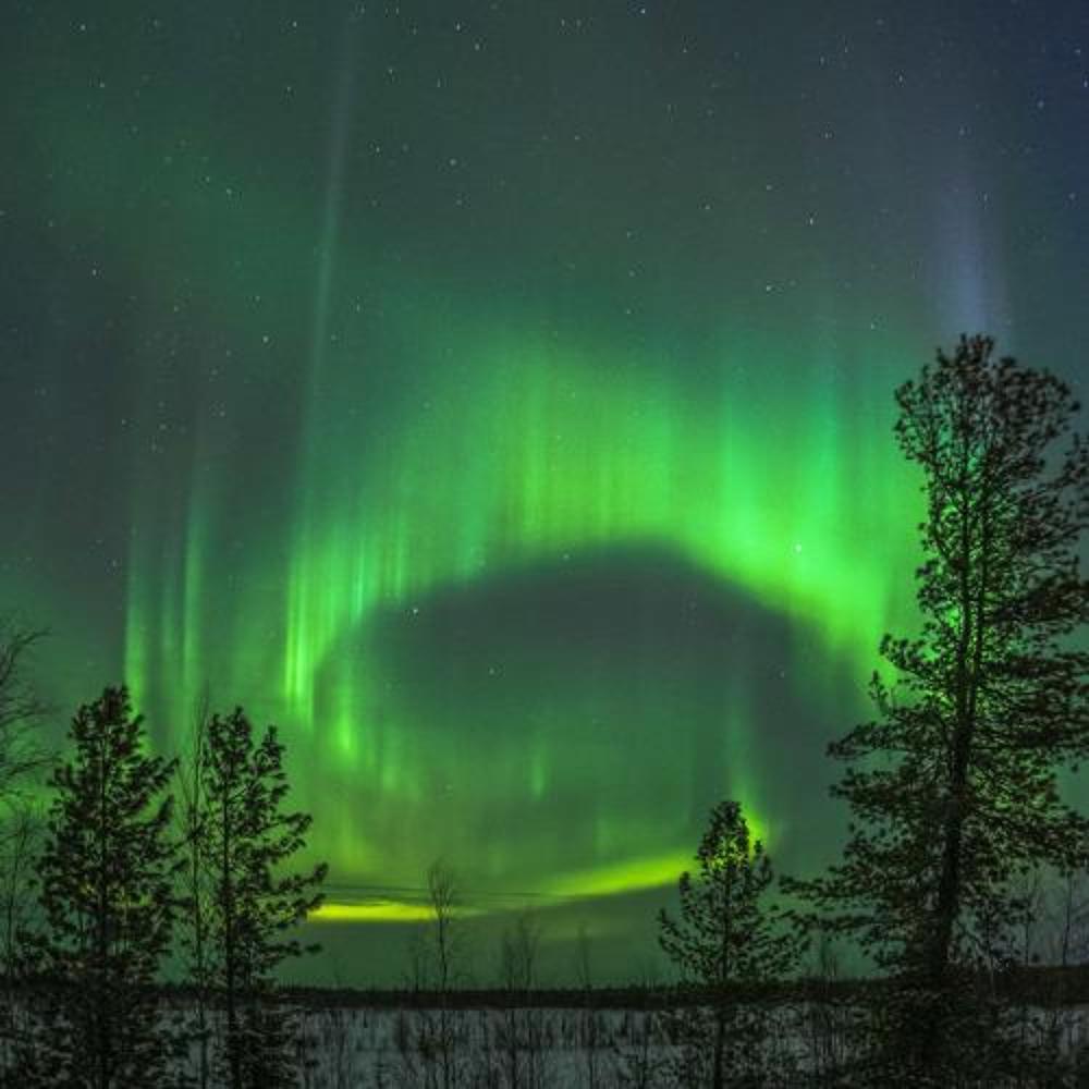 Кольцо Авроры