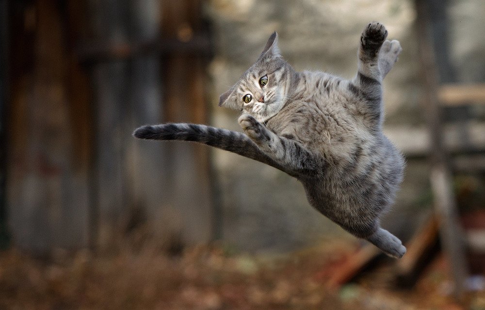 Photograph by Аркадий Саямов