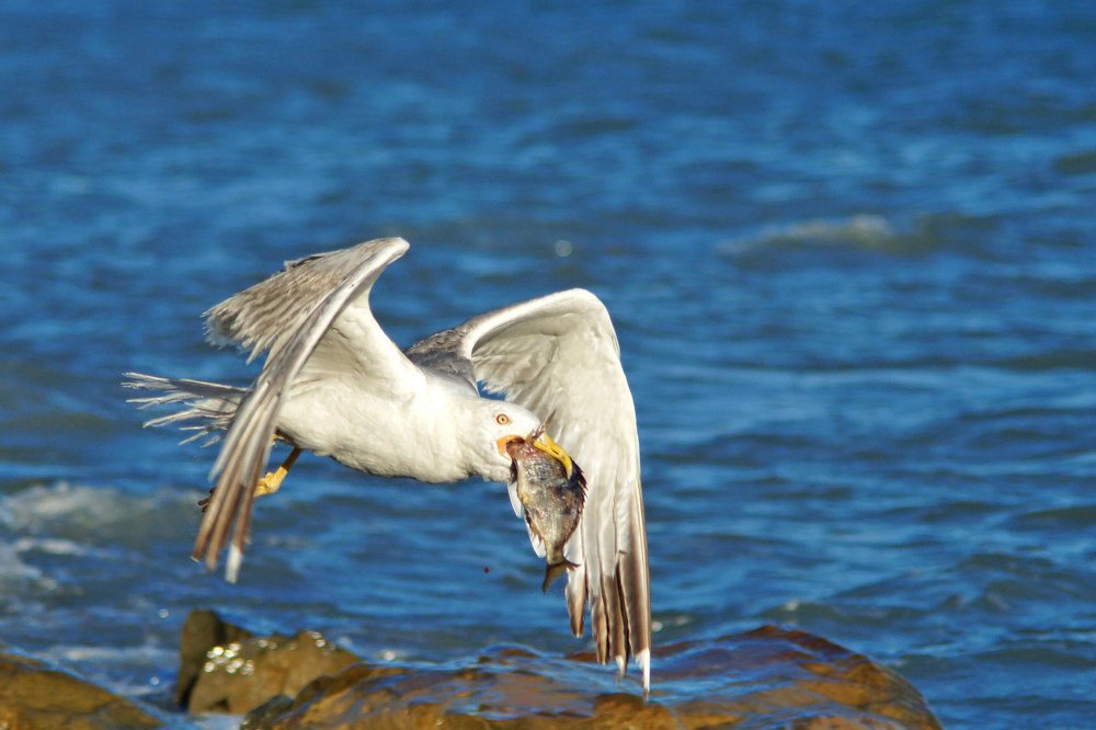 Photograph by Сергей Арямов