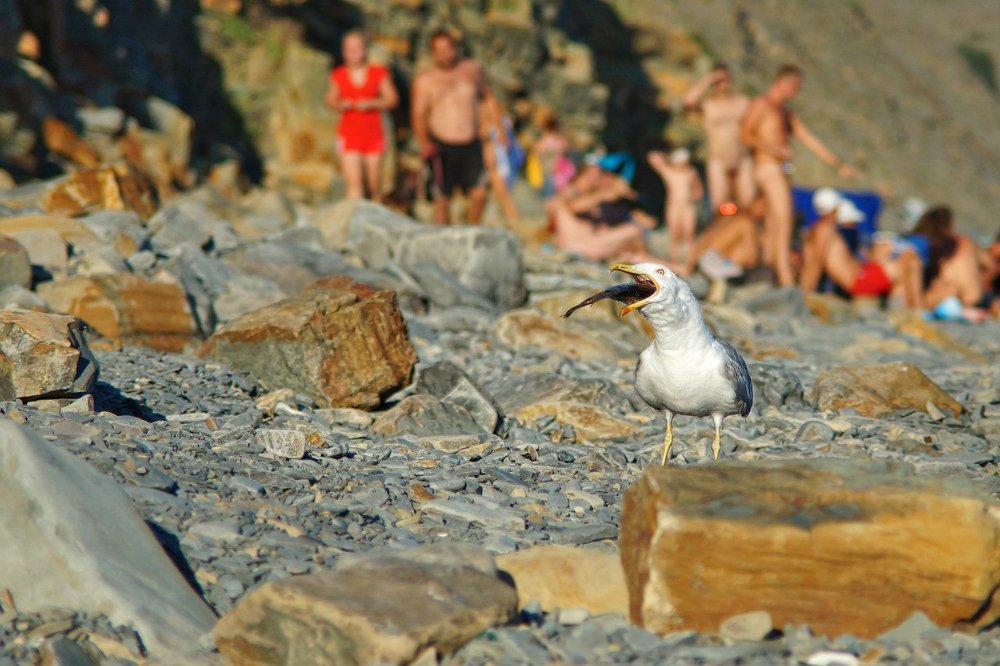 Photograph by Сергей Арямов