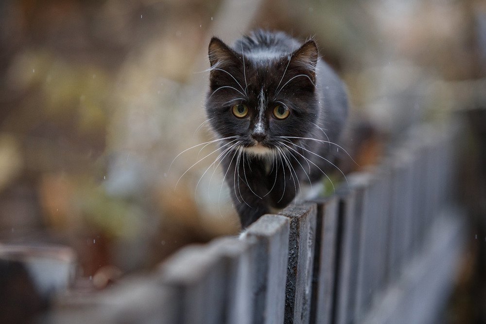 Photograph by Аркадий Саямов