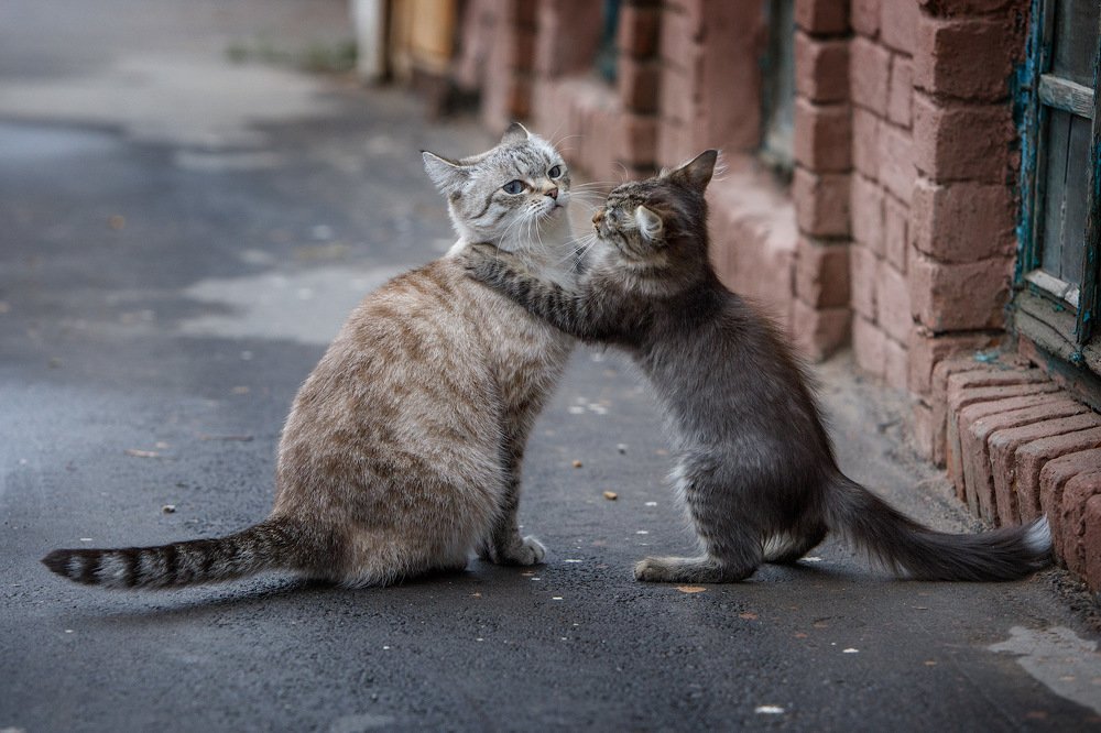 Photograph by Аркадий Саямов