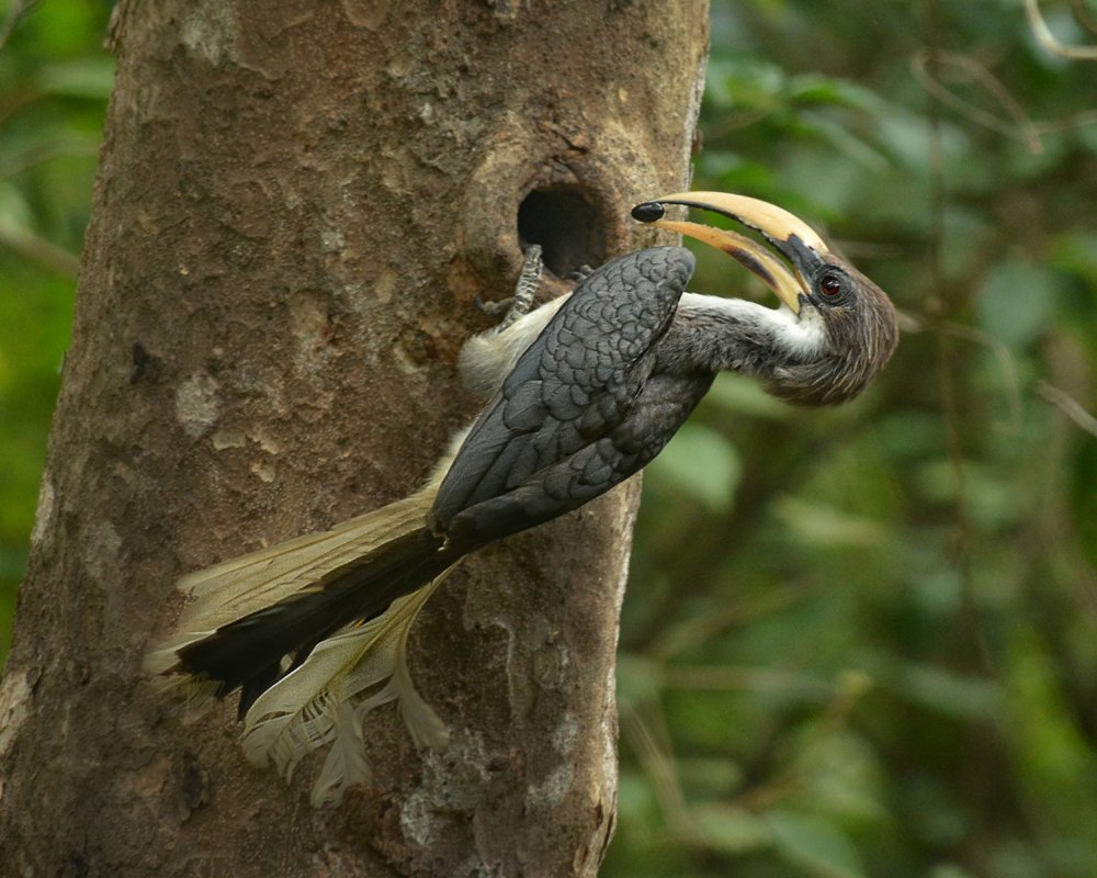 Photograph by Benjamine Dharashan