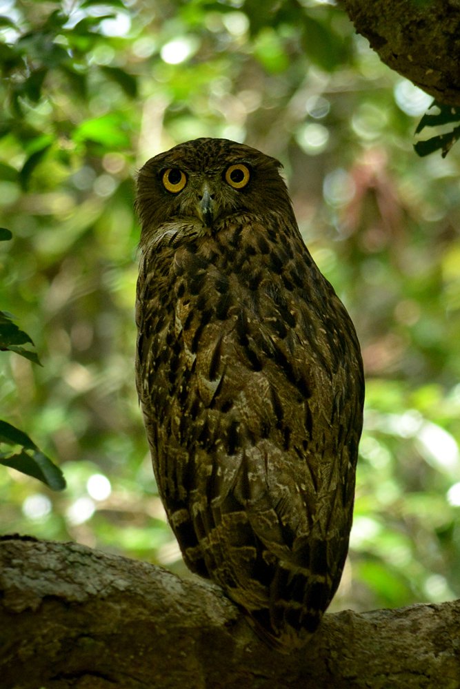 Photograph by Benjamine Dharashan