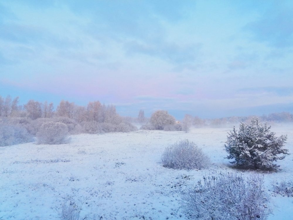 Photograph by Jelena Dzene