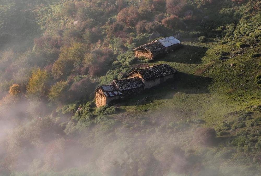 Photograph by Hamid musavi