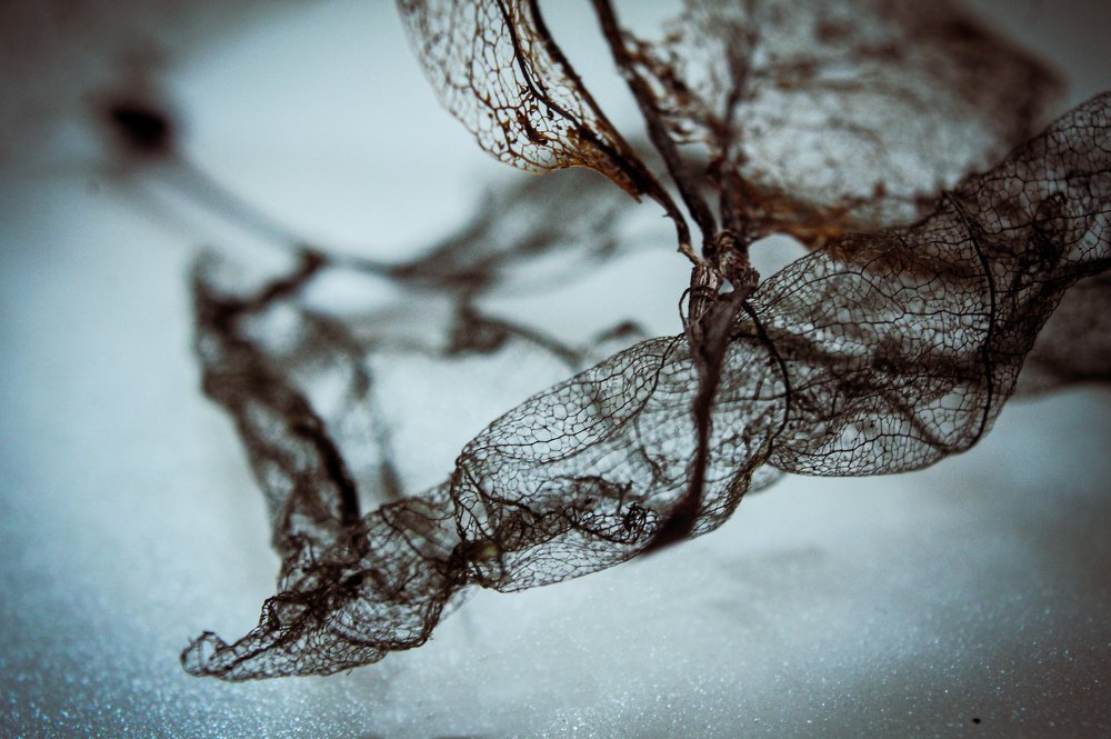 Photograph by Ольга Потапова