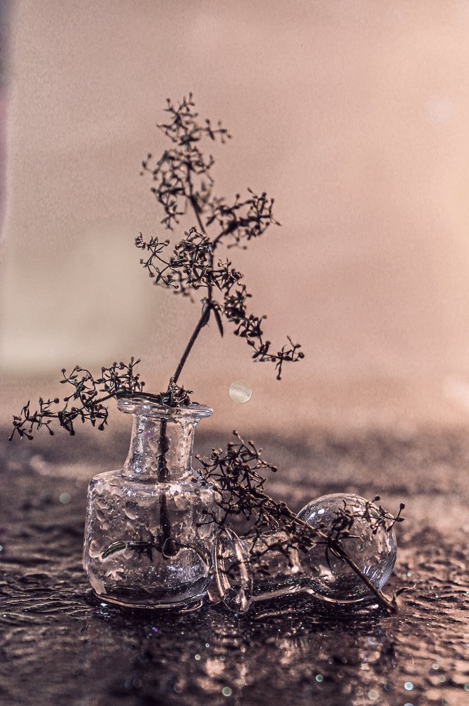 Photograph by Ольга Потапова